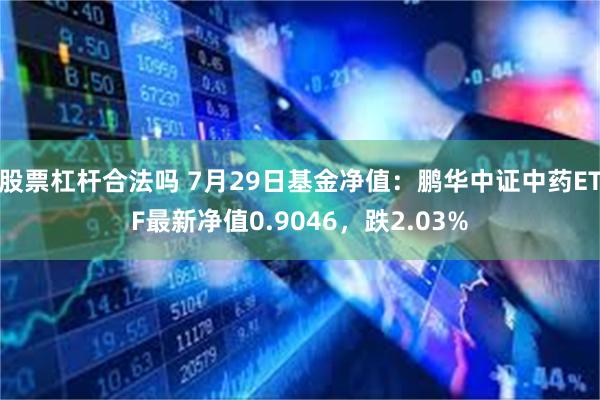 股票杠杆合法吗 7月29日基金净值：鹏华中证中药ETF最新净值0.9046，跌2.03%