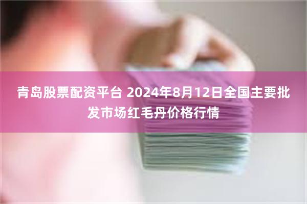 青岛股票配资平台 2024年8月12日全国主要批发市场红毛丹价格行情