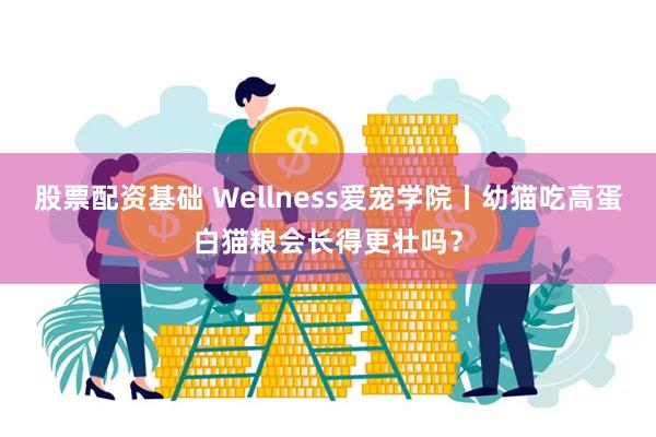 股票配资基础 Wellness爱宠学院丨幼猫吃高蛋白猫粮会长得更壮吗？