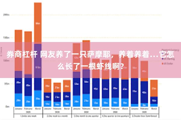 券商杠杆 网友养了一只萨摩耶，养着养着…它怎么长了一根虾线啊？